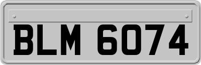 BLM6074