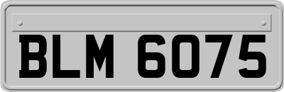 BLM6075