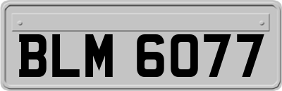 BLM6077