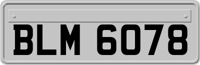 BLM6078