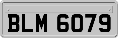 BLM6079