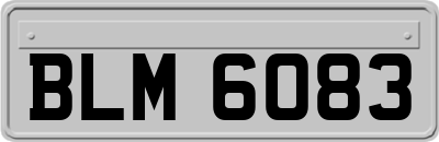 BLM6083