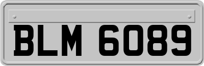 BLM6089
