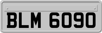 BLM6090
