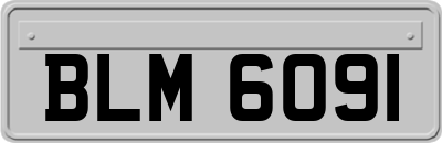BLM6091