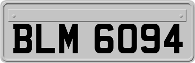 BLM6094
