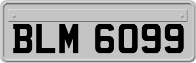 BLM6099