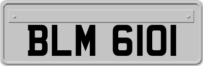 BLM6101