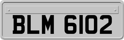 BLM6102