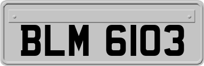 BLM6103