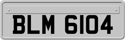 BLM6104