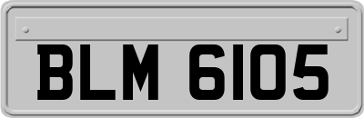 BLM6105