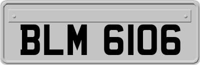 BLM6106