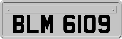 BLM6109