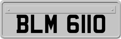 BLM6110