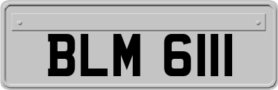BLM6111
