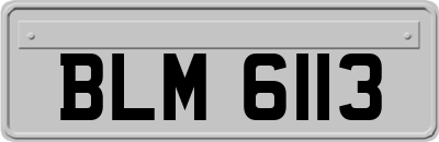 BLM6113