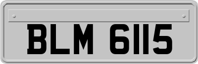 BLM6115