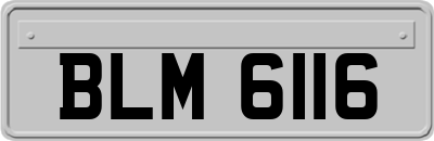 BLM6116