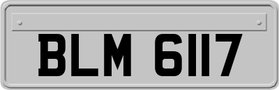 BLM6117