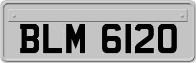 BLM6120