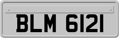 BLM6121