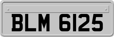 BLM6125