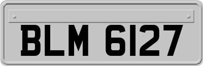 BLM6127