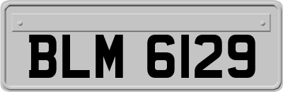 BLM6129