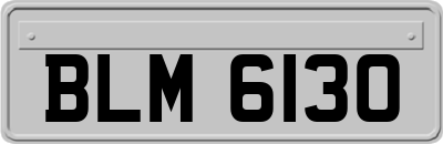 BLM6130