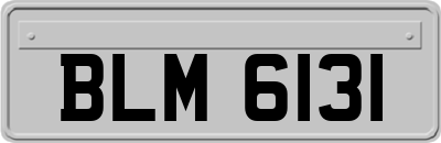 BLM6131