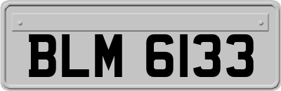 BLM6133