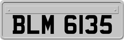 BLM6135