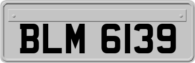 BLM6139