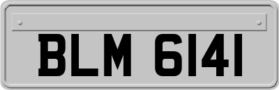 BLM6141