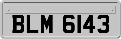 BLM6143