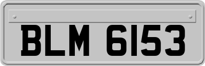 BLM6153