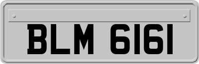 BLM6161