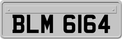 BLM6164
