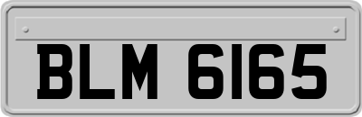 BLM6165