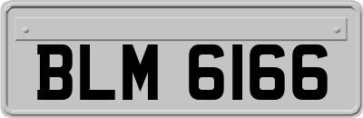 BLM6166