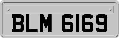 BLM6169