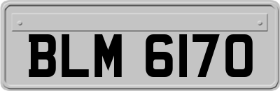 BLM6170