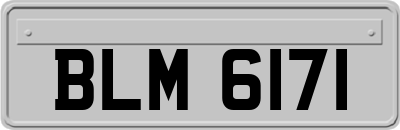 BLM6171