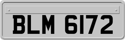 BLM6172