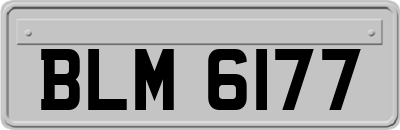 BLM6177