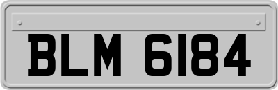 BLM6184
