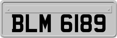 BLM6189