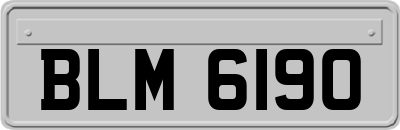 BLM6190