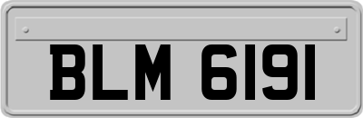 BLM6191